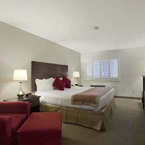 One-Bedroom Queen Suite Non-Smoking